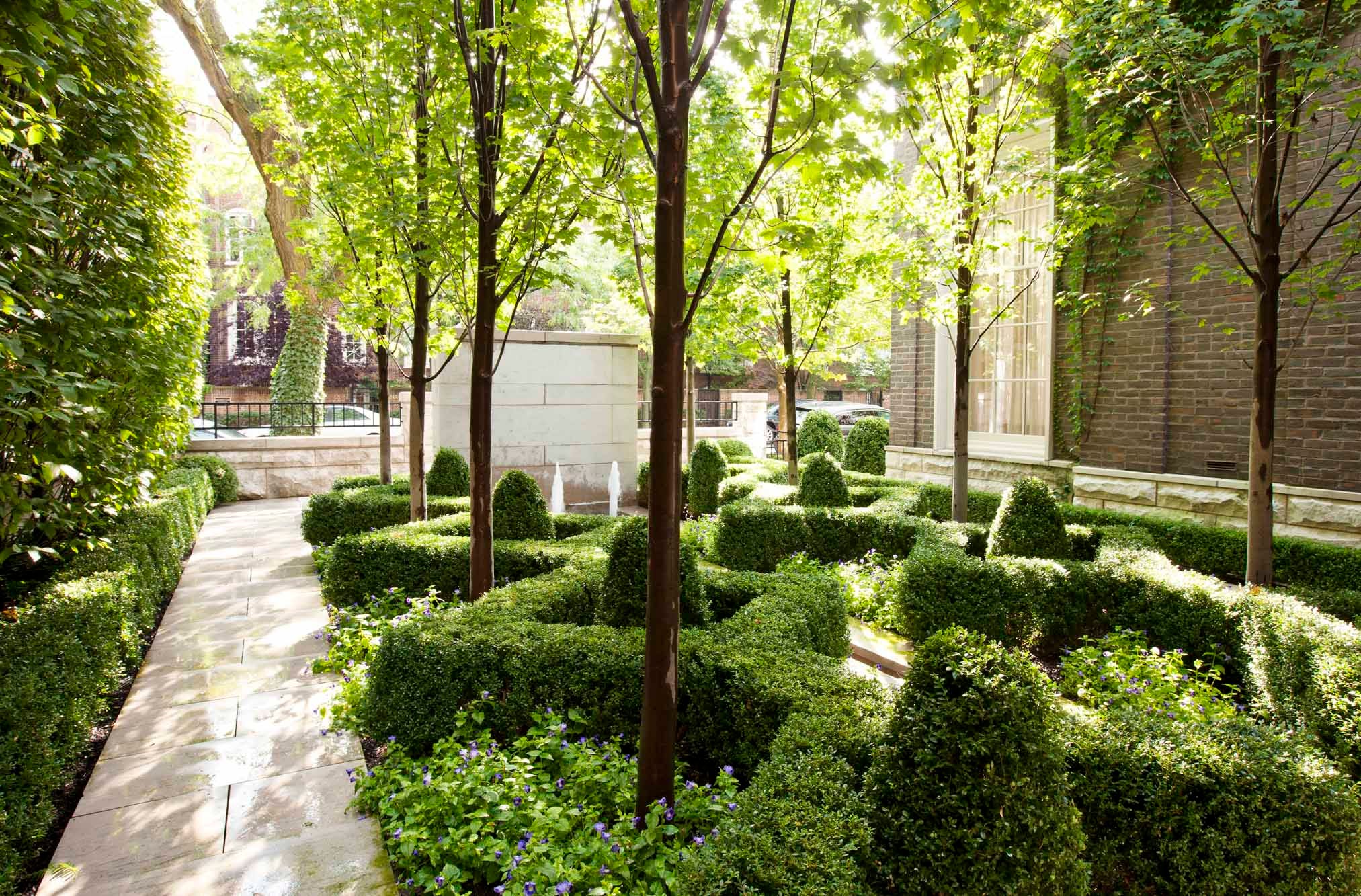 Red maple and boxwood landscape design